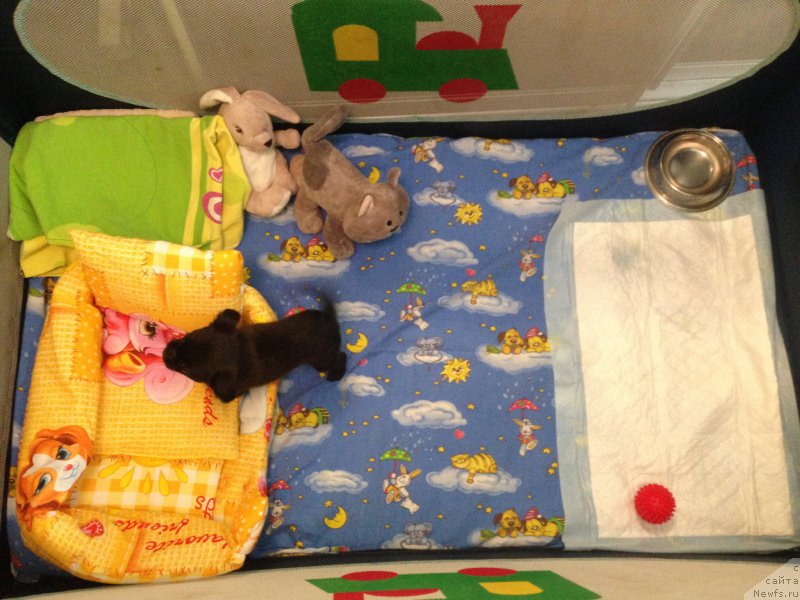 Фото: Tat'yana Olenina (Татьяна Оленина)