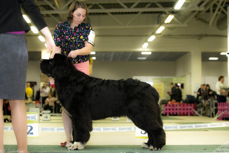 Фотография № 202789