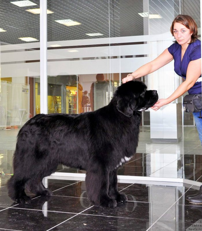 Фотография № 202794