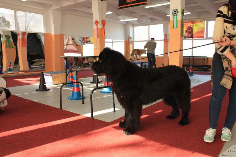 Фотография № 202800