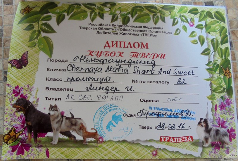 Фотография № 202807