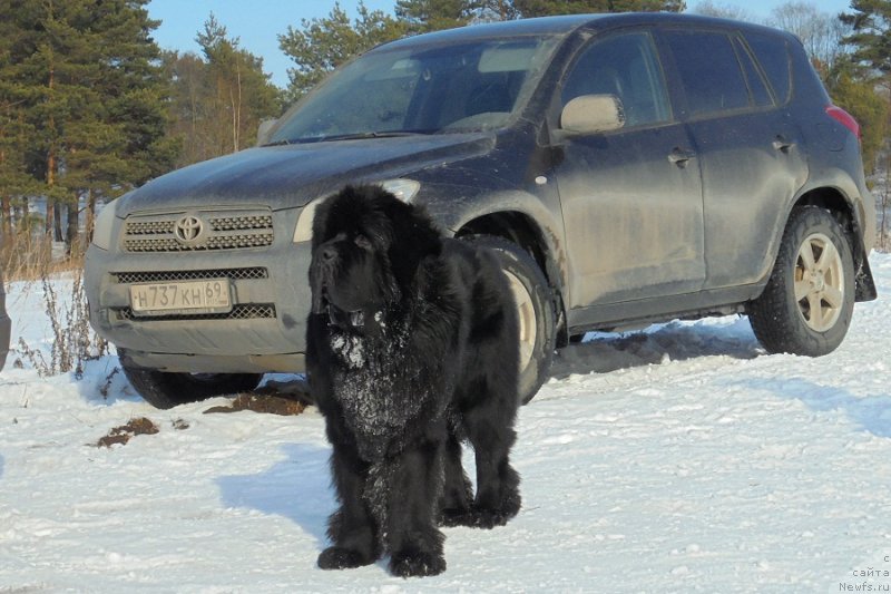 Фотография № 202808