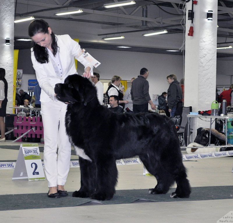 Фотография № 202845