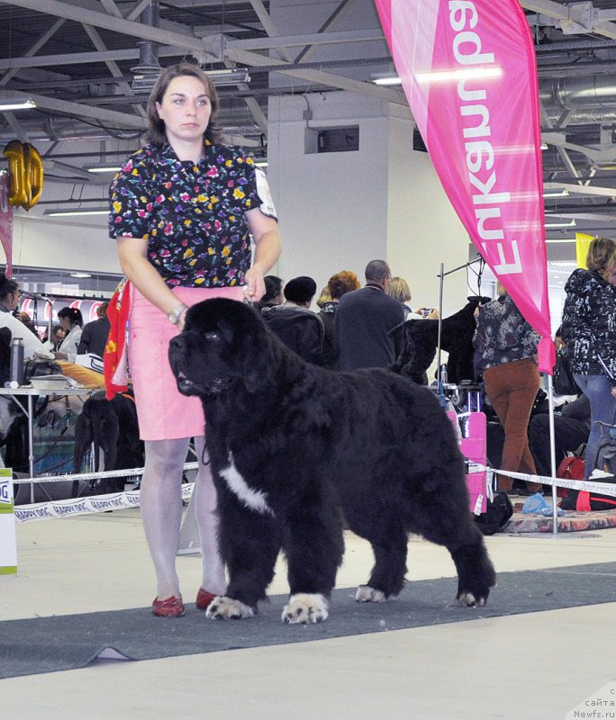 Фотография № 202848