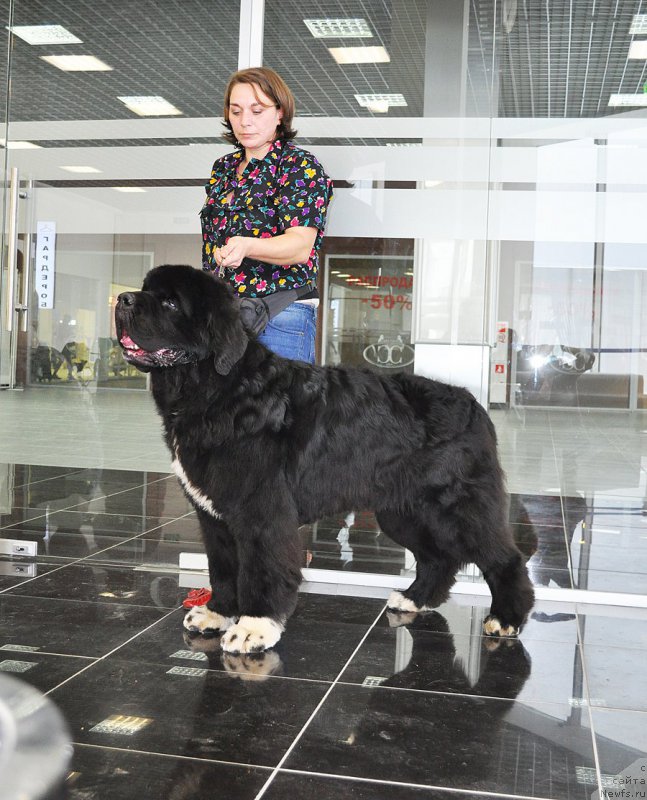 Фотография № 202850