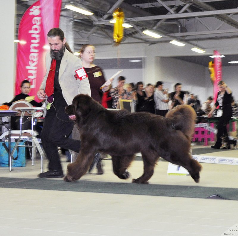 Фотография № 202851