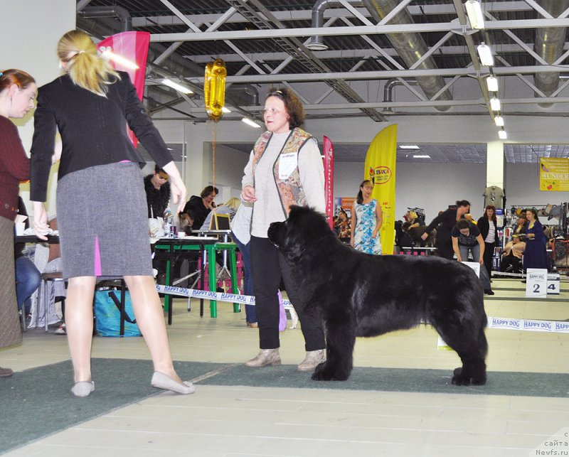 Фотография № 202857