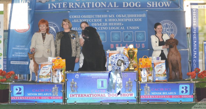 Фотография № 202874