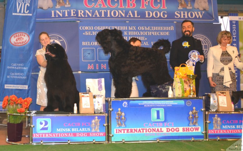 Фотография № 202875