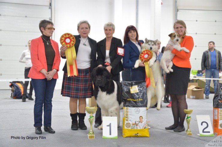 Фотография № 202881