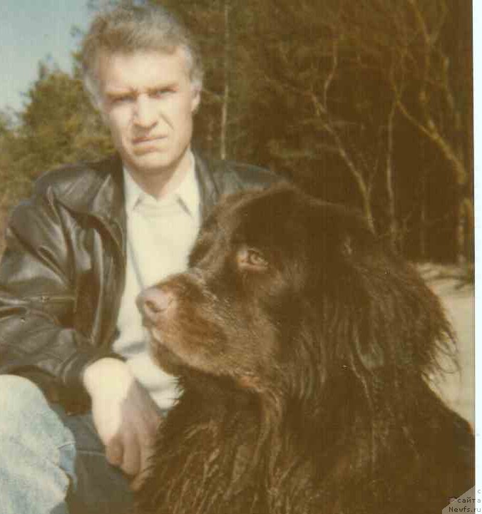 Фото: ньюфаундленд Tutsi (Тутси)