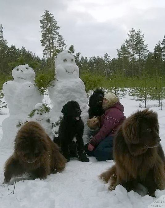 Фотография № 202895