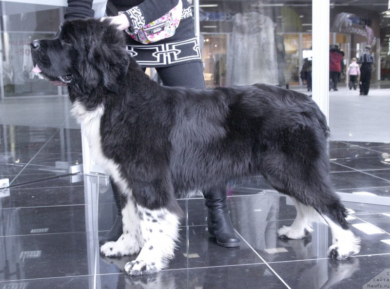 Фотография № 202907