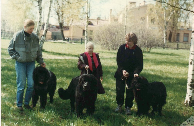 Фотография № 202908