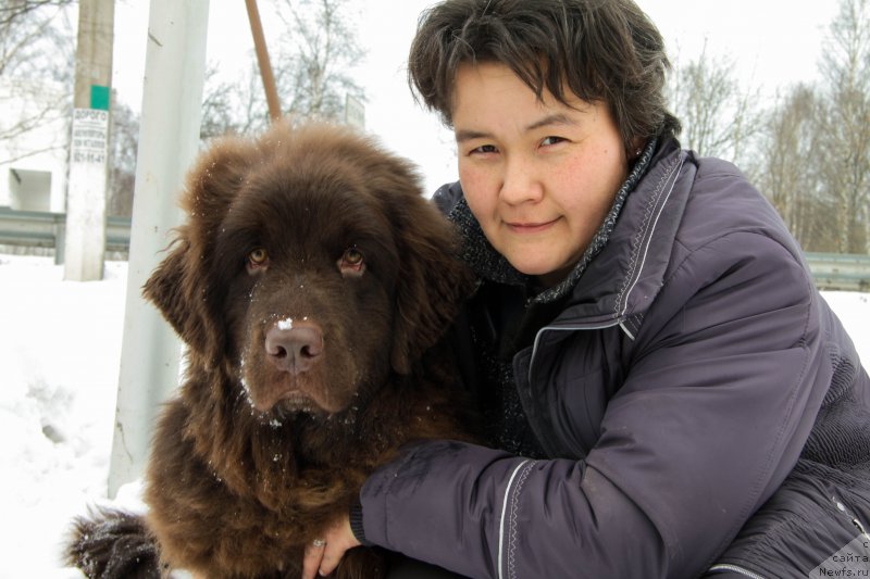 Фото: ньюфаундленд Al'fa Dar Oksa Vivat (Альфа Дар Окса Виват), Darima Achitueva (Дарима Ачитуева)