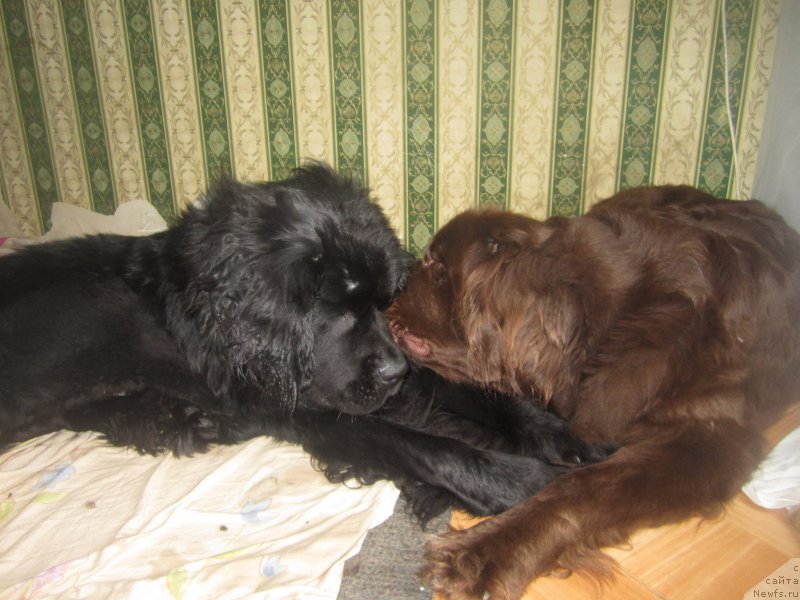 Фото: Natal'ya Smazchikova (Наталья Смазчикова)