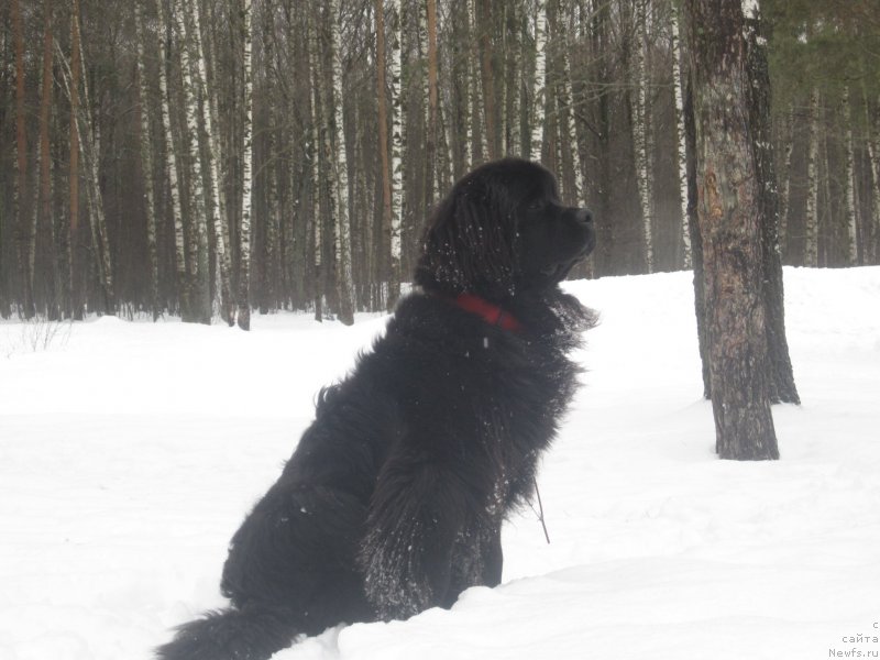 Фото: Natal'ya Smazchikova (Наталья Смазчикова)