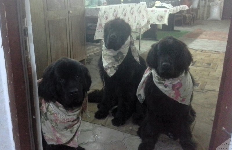 Фото: Natal'ya Smazchikova (Наталья Смазчикова)