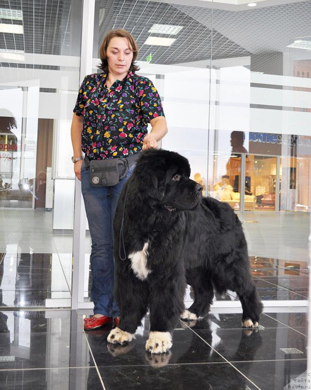 Фотография № 202990