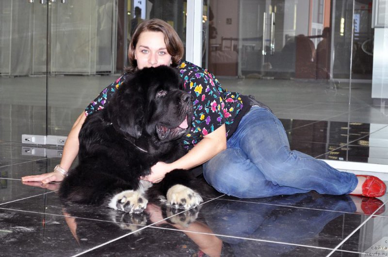 Фотография № 202991