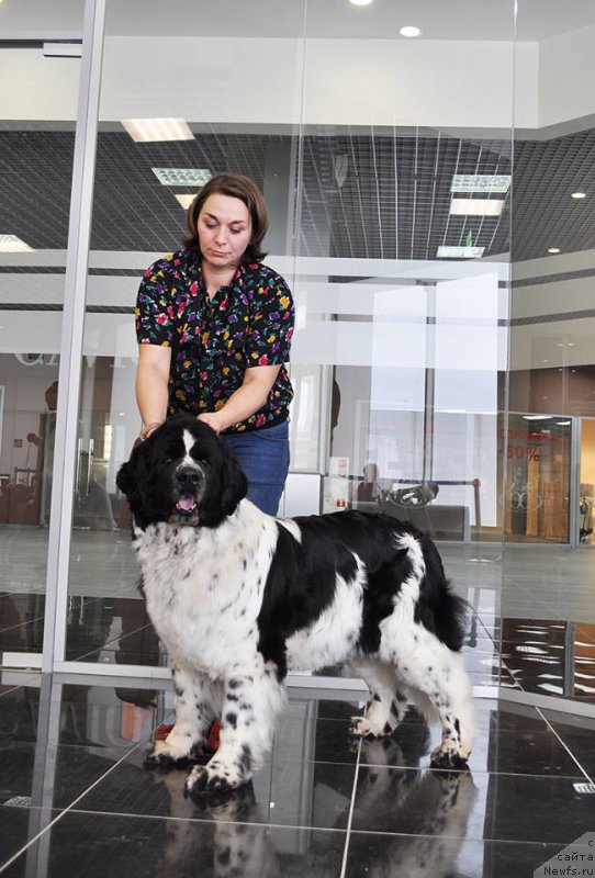 Фотография № 202994