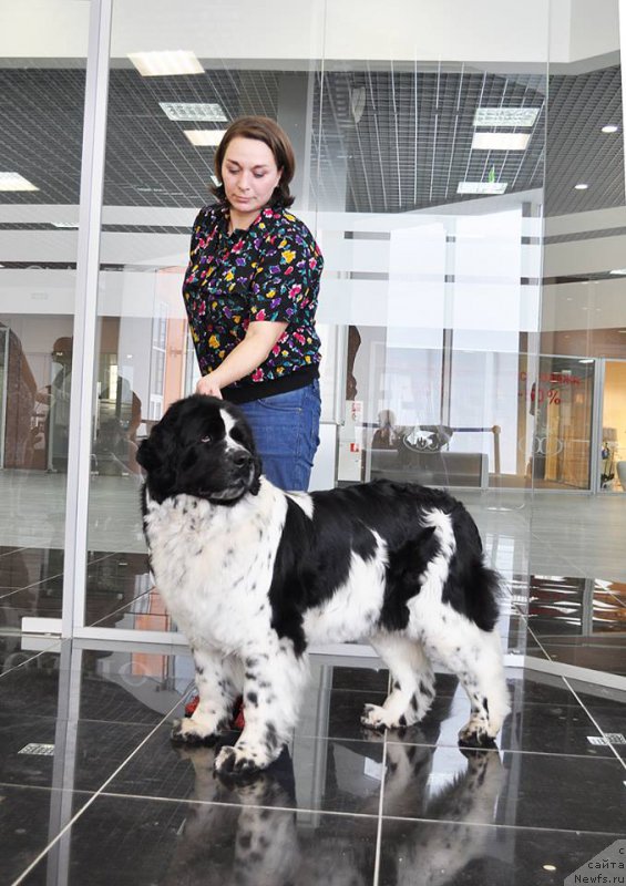 Фотография № 202996