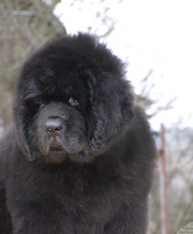 Фотография № 203012