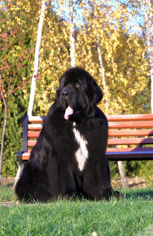 Фотография № 203013