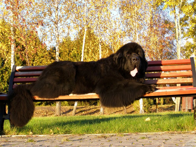 Фотография № 203014