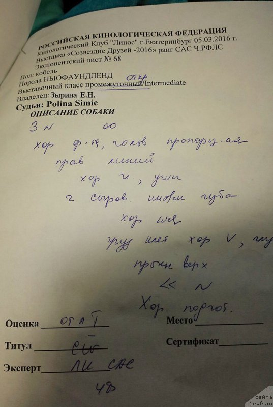 Фотография № 203026