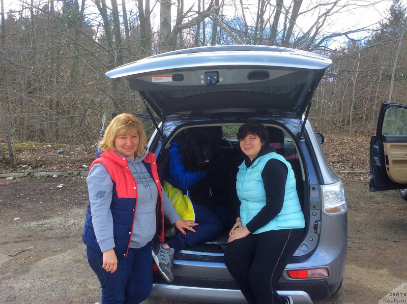 Фотография № 203027