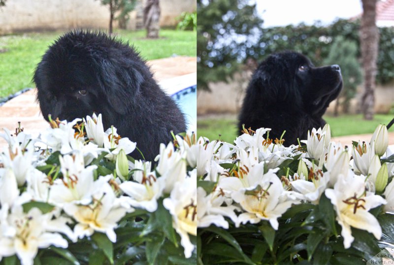 Фотография № 203037