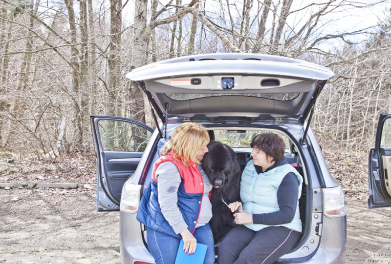 Фотография № 203038