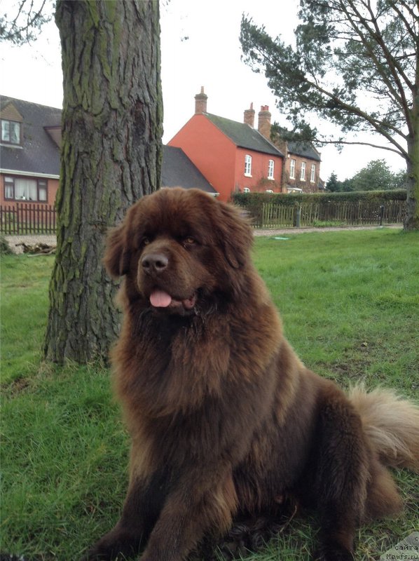 Фотография № 203041