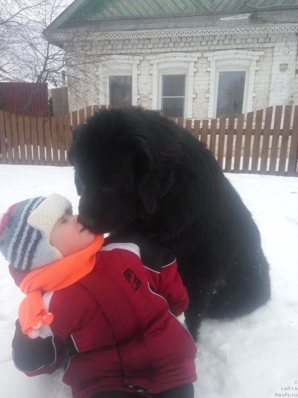 Фотография № 203075