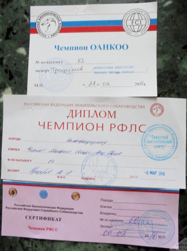 Фотография № 203079