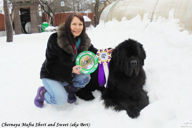 Фотография № 203080