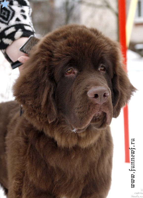 Фотография № 203084