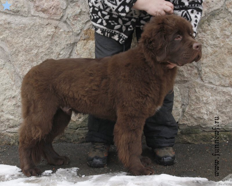 Фотография № 203086