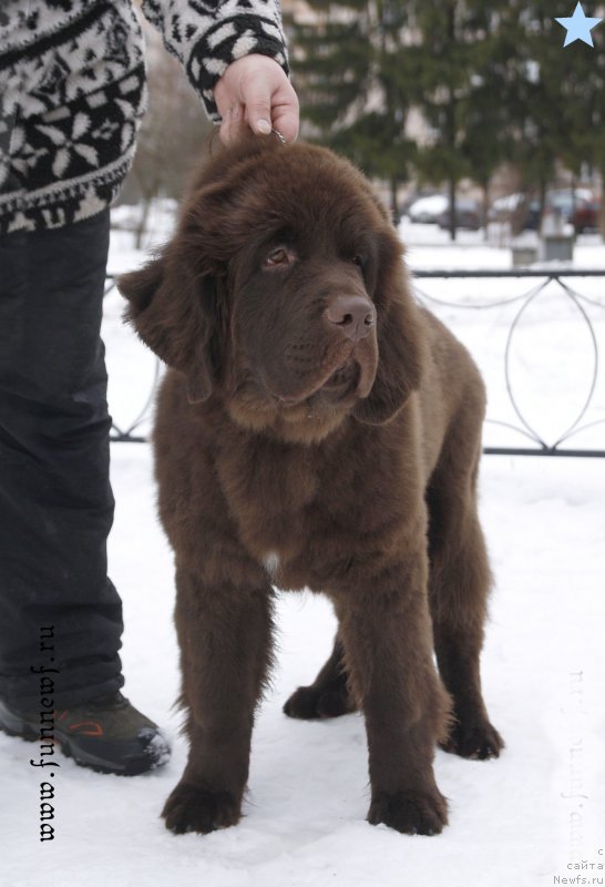 Фотография № 203087