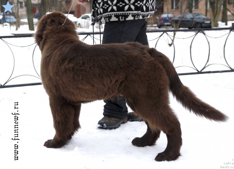 Фотография № 203088