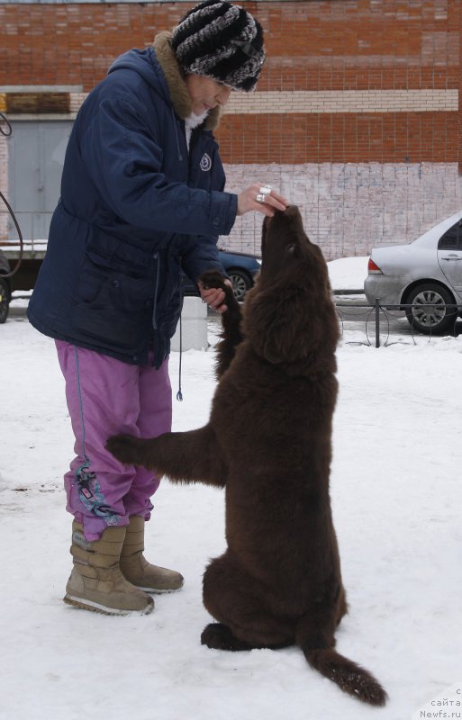 Фотография № 203089