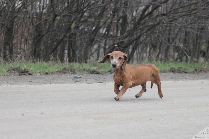 Фотография № 203093