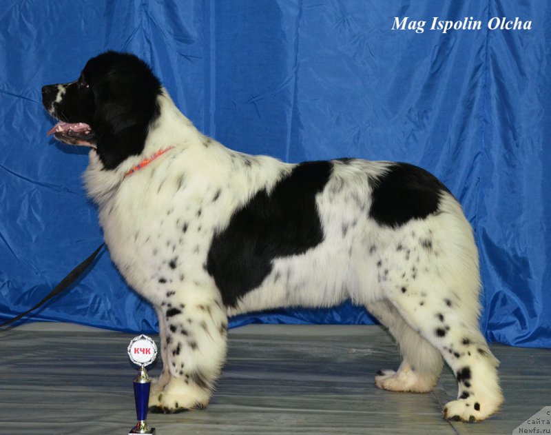 Фотография № 203103