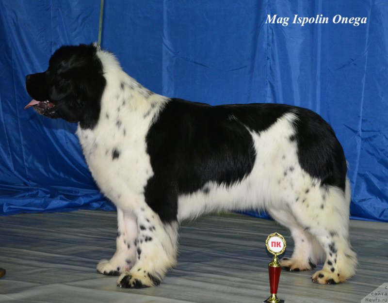 Фотография № 203104