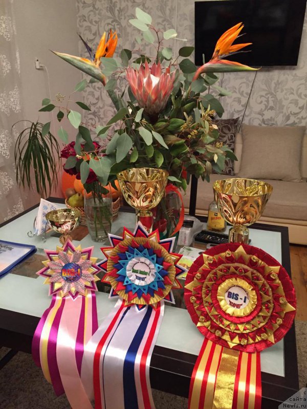 Фотография № 203109