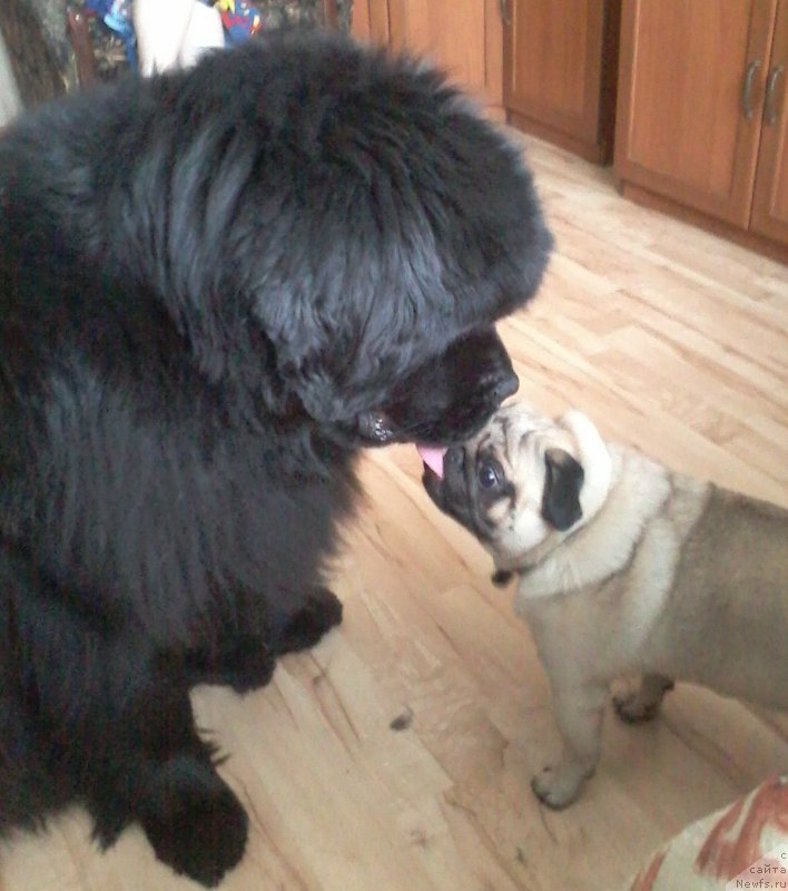 Фотография № 203116