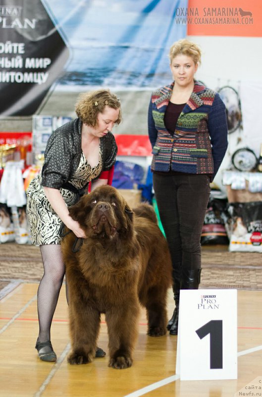 Фотография № 203124