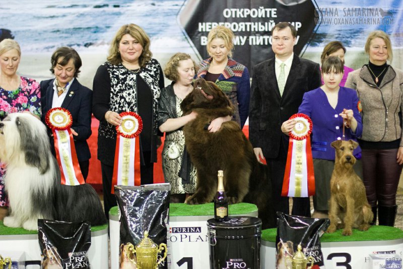 Фотография № 203137