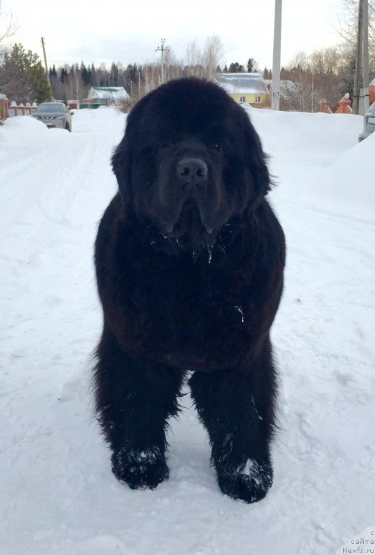 Фотография № 203194